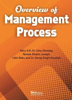 Overview of Management Process